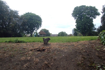 The top of Bedford Castle motte May 2009